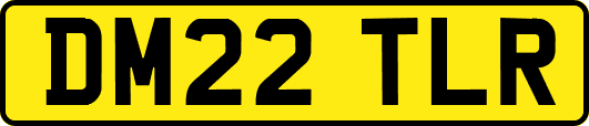 DM22TLR