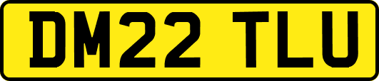 DM22TLU