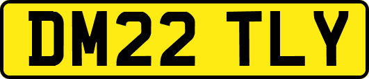 DM22TLY