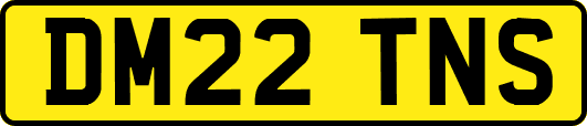 DM22TNS
