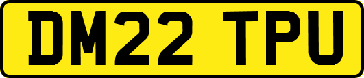 DM22TPU