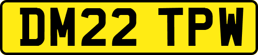 DM22TPW