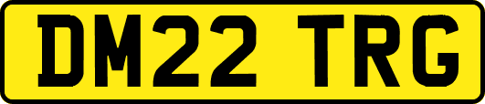 DM22TRG