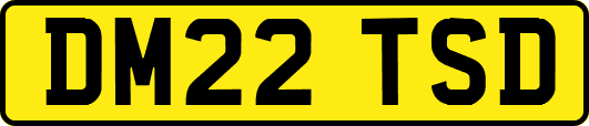 DM22TSD