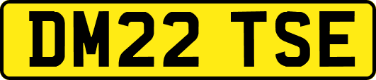 DM22TSE