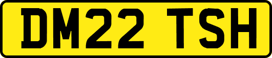 DM22TSH