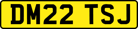 DM22TSJ