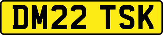 DM22TSK