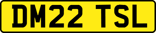 DM22TSL