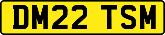 DM22TSM