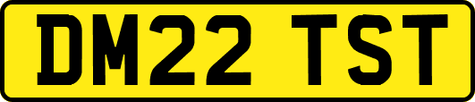 DM22TST