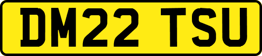 DM22TSU