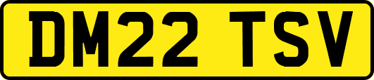 DM22TSV