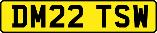 DM22TSW
