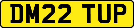 DM22TUP