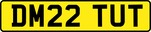 DM22TUT
