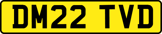 DM22TVD