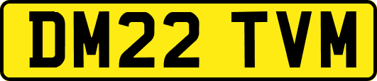 DM22TVM