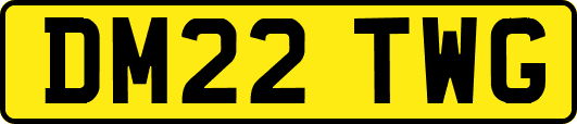 DM22TWG