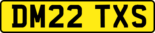 DM22TXS