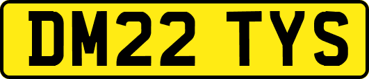 DM22TYS