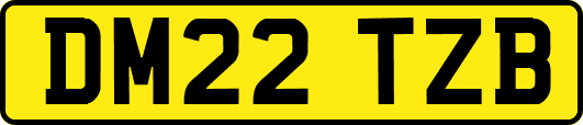DM22TZB