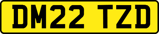 DM22TZD