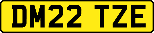 DM22TZE