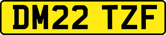 DM22TZF