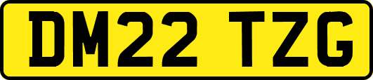 DM22TZG