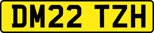 DM22TZH