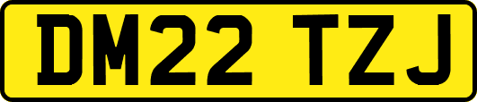 DM22TZJ