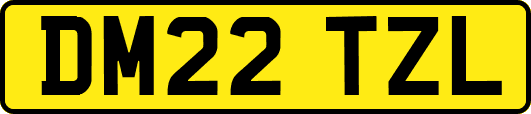 DM22TZL