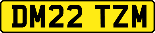 DM22TZM