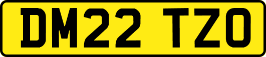DM22TZO