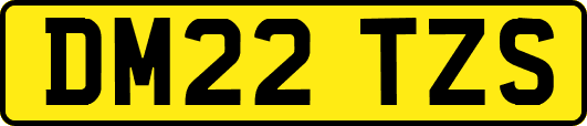 DM22TZS