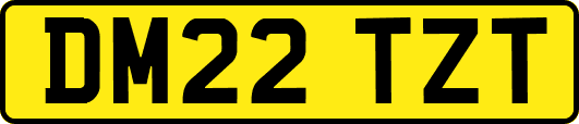 DM22TZT