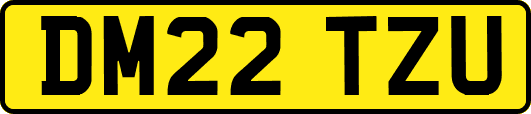 DM22TZU