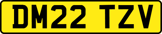 DM22TZV