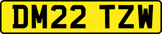 DM22TZW