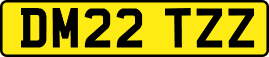DM22TZZ