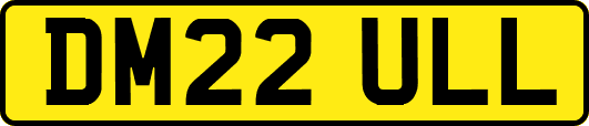 DM22ULL