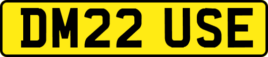 DM22USE