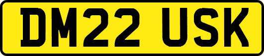 DM22USK