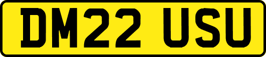 DM22USU