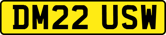 DM22USW
