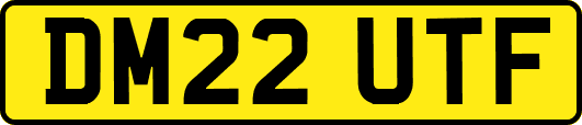 DM22UTF