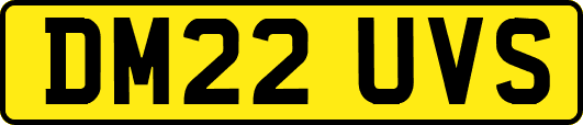 DM22UVS
