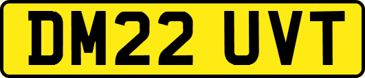 DM22UVT
