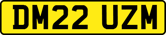 DM22UZM